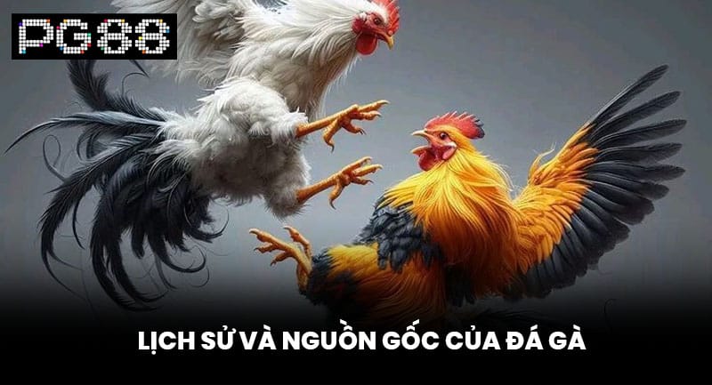 Lịch Sử Và Nguồn Gốc Của Đá Gà