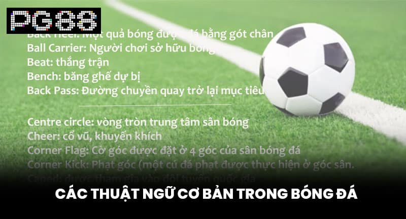 Các Thuật Ngữ Cơ Bản Trong Bóng Đá